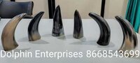Horn Cups