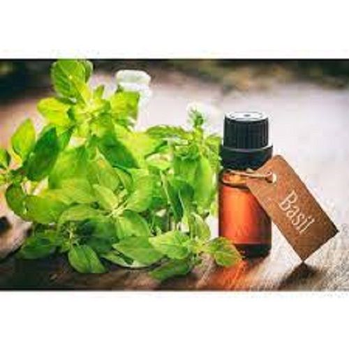 Basil Essential Oil