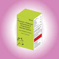 Piroxicam with Pitofenone 100 ml Injection in Third party Manufacturing
