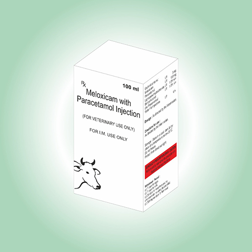 Meloxicam Paracetomol 100 ml Injection in Third Party Manufacturing