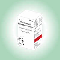 Meloxicam Paracetomol 100 ml Injection in Third Party Manufacturing