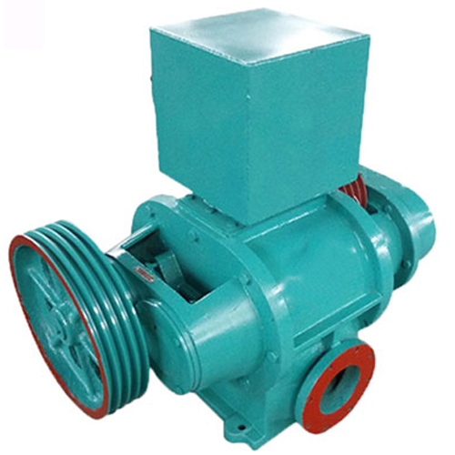 Roots Vacuum Pump