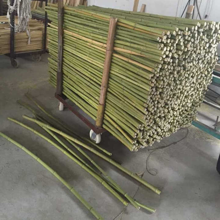 All kinds of bamboo sticks for plantation