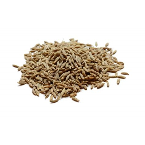 Cumin Seed