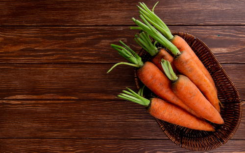 Carrot Seed Oil