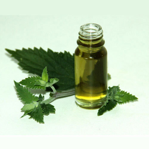 Catnip Oil Premium