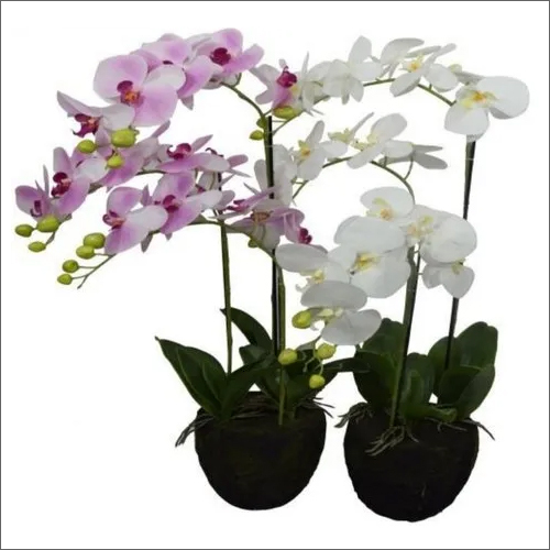 Washable Artificial Orchid Planter Flower