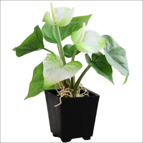 Artificial Anthurium Plant