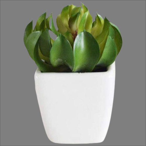 Artificial Suculant Green Plant