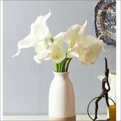 Ceramic Vases