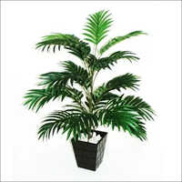 Wooden Vases Weight: 700 Grams (g)