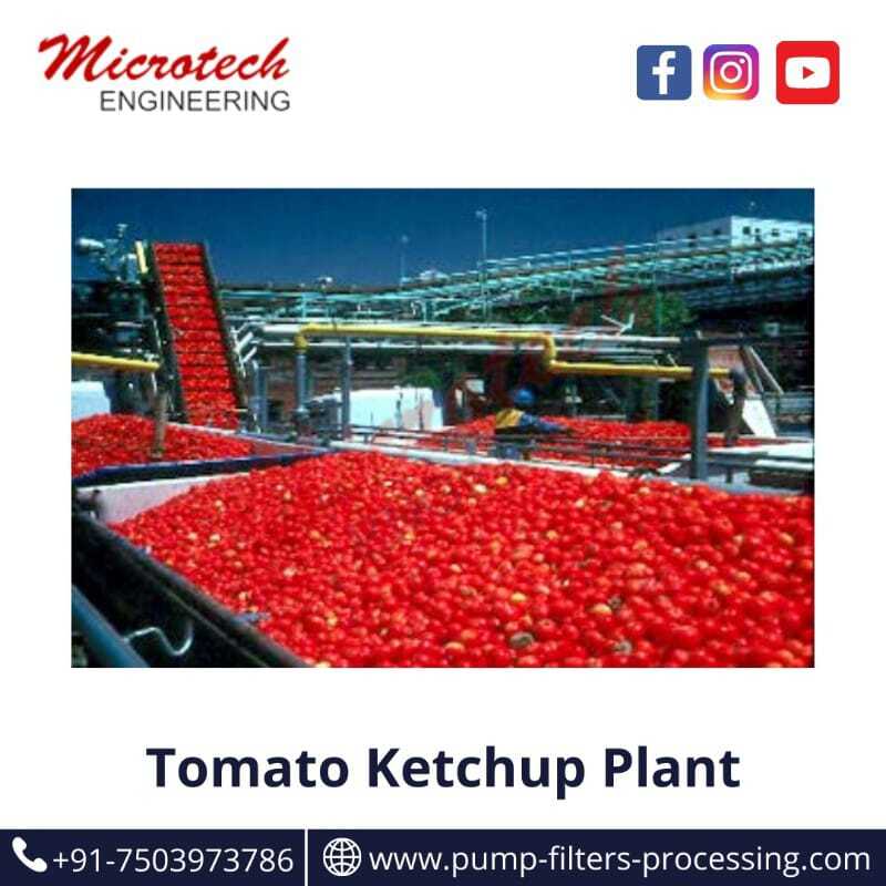 Ketchup production plant