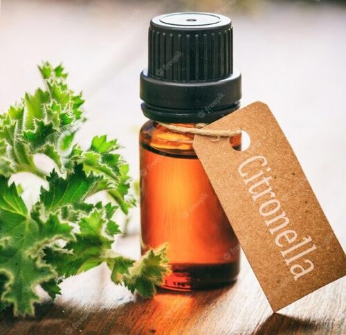 Citronella Oil Premium