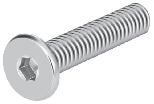 Stainless Steel Screws