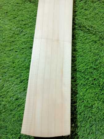 English Bat