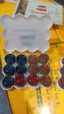 Sunny Coins Platic