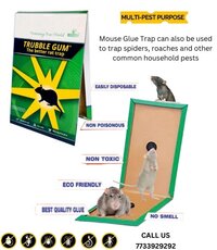 Rat Glue Trap - Feature: Eco-friendly