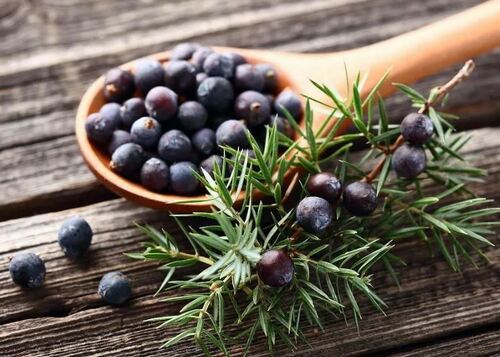 Juniper Berry Oil Premium