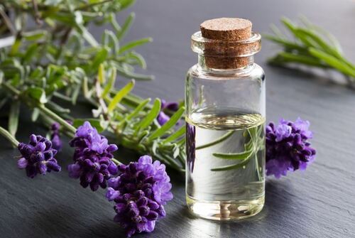 Lavender Oil Premium