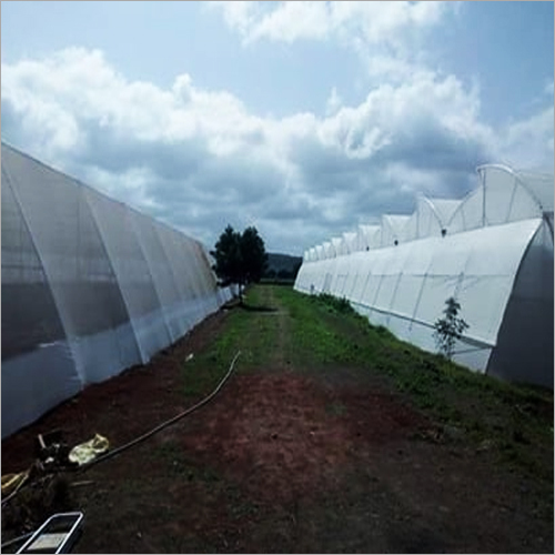 Greenhouse Tent Construction Services