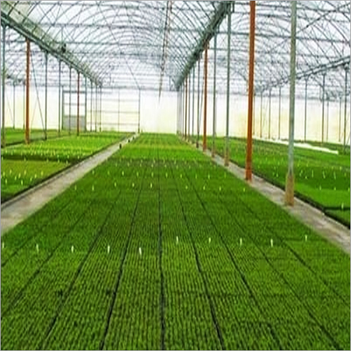 Greenhouse Construction Service