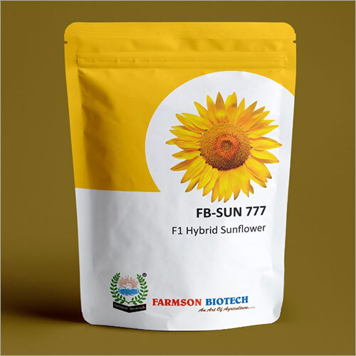 SUN 777 F1 Hybrid Sunflower - 500 Grams Sunflower Seeds | Hybrid Variety with 6 Months Shelf Life Ideal for Diverse Agricultural Applications
