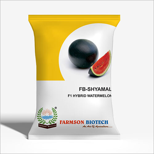 Shyamal F1 Hybrid Watermelon Shelf Life: 6 Months