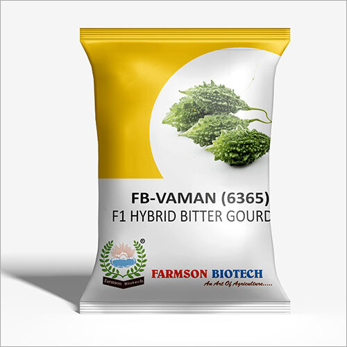 FB VAMAN (3665) F1 Hybrid Bitter Gourd