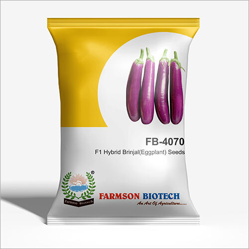 4070 F1 Hybrid Brinjal Seeds - 10 Grams | 6 Months Shelf Life High-Yield Variety