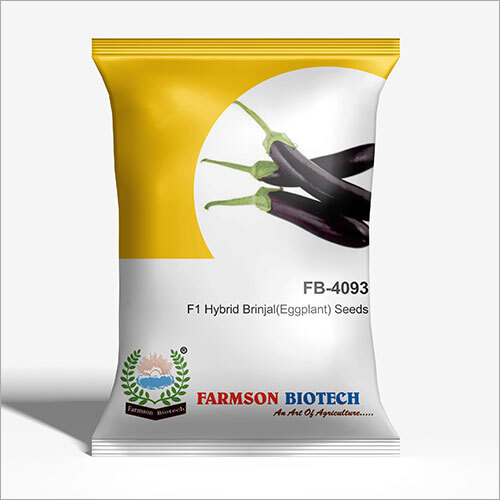 4093 F1 Hybrid Brinjal (Eggplant) Seeds - 10 Grams 6 Month Shelf Life | Type: Brinjal Seeds Variety: Brinjal