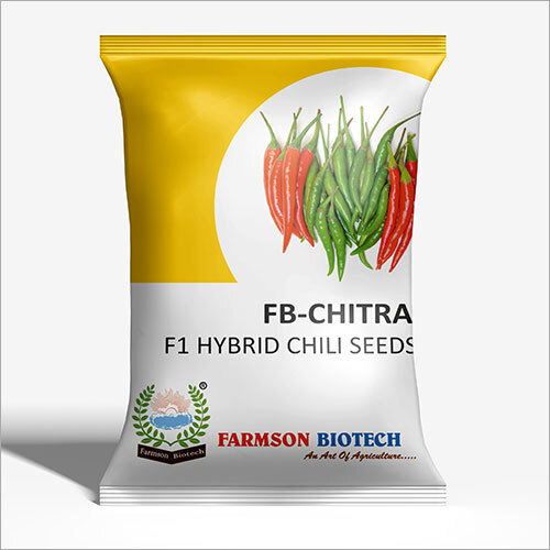CHITRA F1 Hybrid Chili Seeds - 10 Grams | High-Yielding Variety, Ideal for Home Gardening and Commercial Cultivation