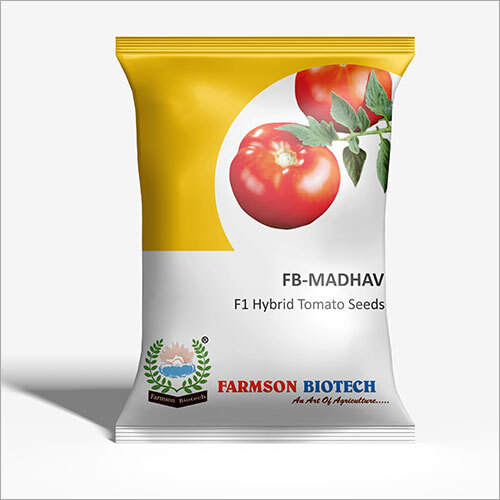 MADHAV F1 Hybrid Tomato Seeds - 10 Grams Vegetable Seeds | 6 Months Shelf Life, High Yielding Tomato Variety, Ideal for Home Gardening