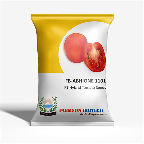 ABHIONE 1101 F1 Hybrid Tomato Seeds