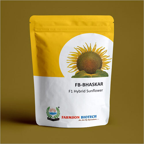 BHASKAR F1 Hybrid Sunflower