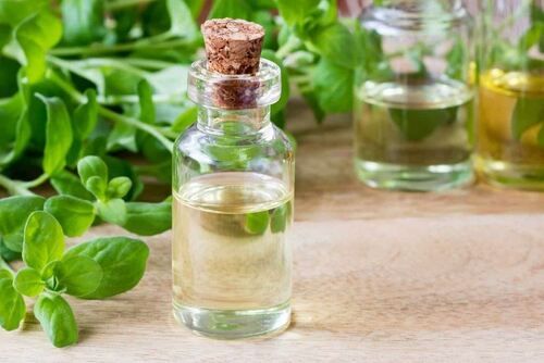 Marjoram Oil Premium