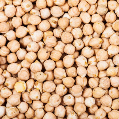 White Chickpea Small Grade: Food Grade