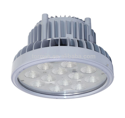 LED Flame Proof Light