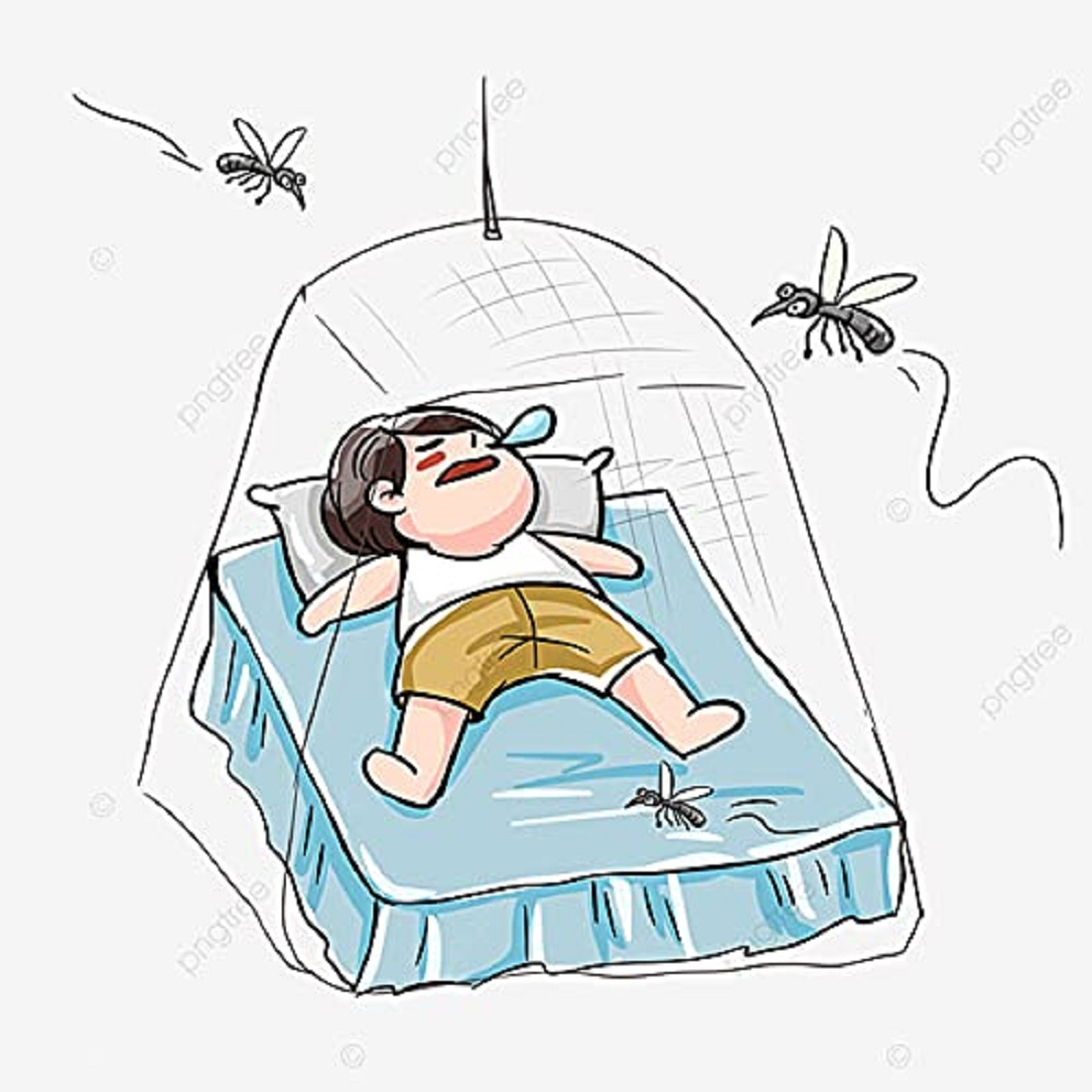 baby mosquito net blue strbry