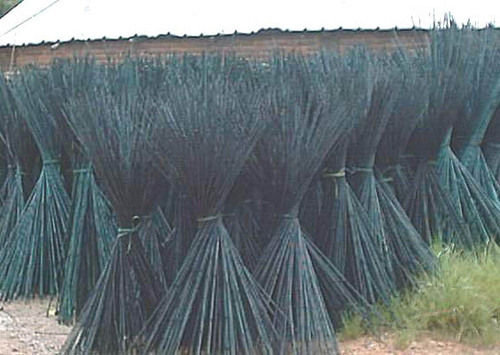 Bamboo stakes