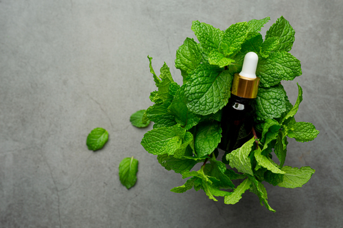 Peppermint Oil