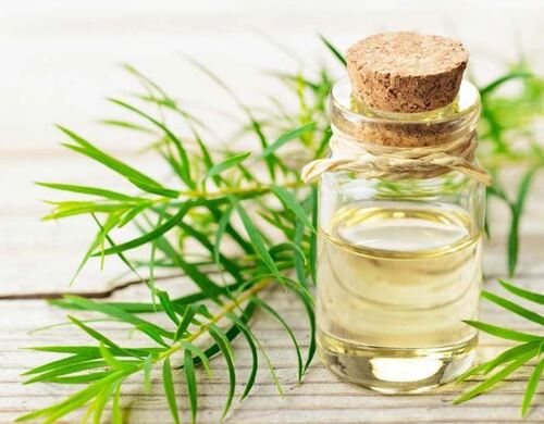 Tea Tree Oil Premium