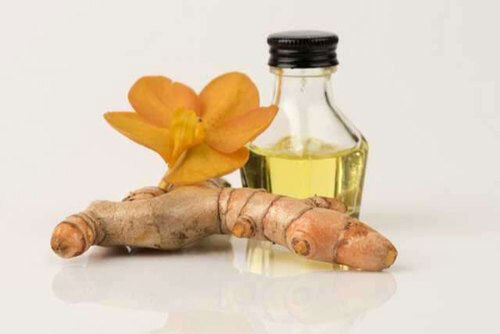 Turmeric Root Oil Premium