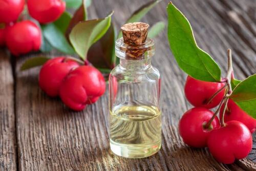 Wintergreen Oil