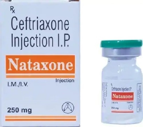 Ceftriaxone Sodium Injection Generic Drugs