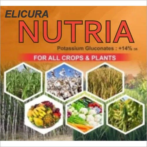 Elicura Nutria Organic Potash Fertilzer ( Gluconate Form ) for Fruit Enhancement On Crop