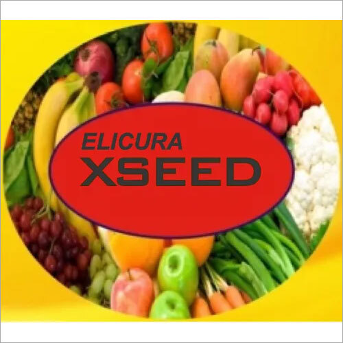 Elicura Xseed Biostimulant Pgpr