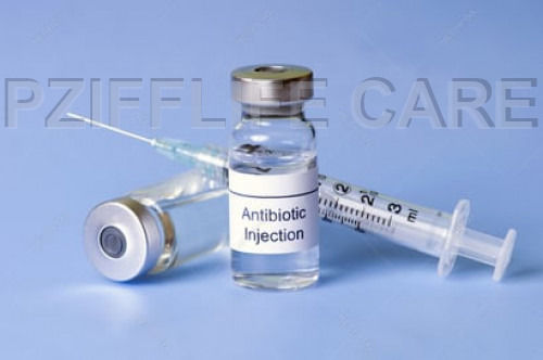 Liquid Antibiotic Injections