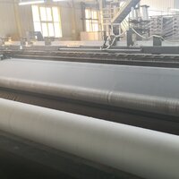 Suction Press Felt