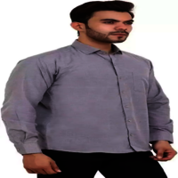 Men Regular Fit Formal Shirt