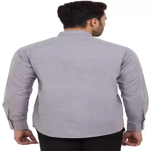 Men Regular Fit Formal Shirt